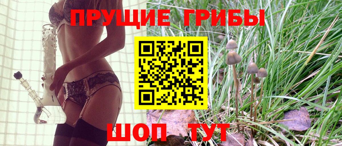 Галлюциногенные грибы прущие грибы  Вход с VPN  Пенза 